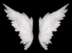 Angel's wings cover us as we heal to experience a transformational life in Christ.