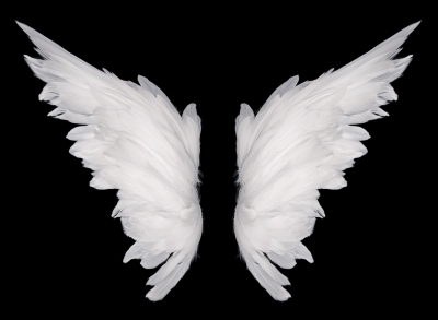 Angel's wings cover us as we heal to experience a transformational life in Christ.