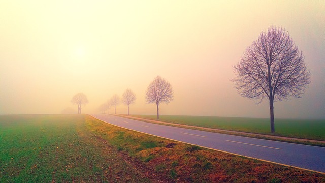 street with fog, gloomy day