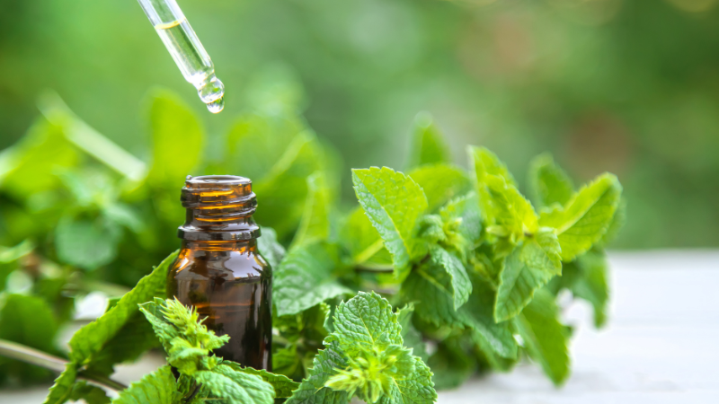 peppermint essential oil