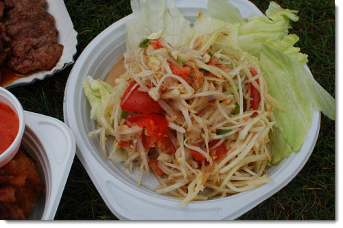 Delicious and healthy papaya salad for your health and wellness.