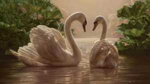 Two swans symbolizing intimacy and pleasure